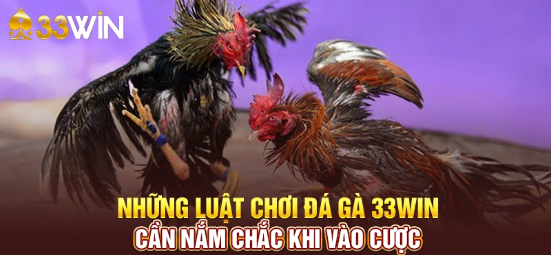 Cách tham gia chơi game đá gà trực tuyến trên 33Win